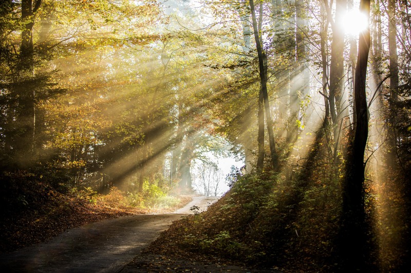 Paysage_autre_H002