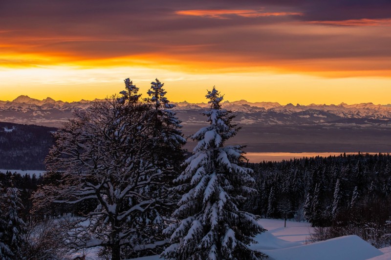 Vue-des-Alpes_H002