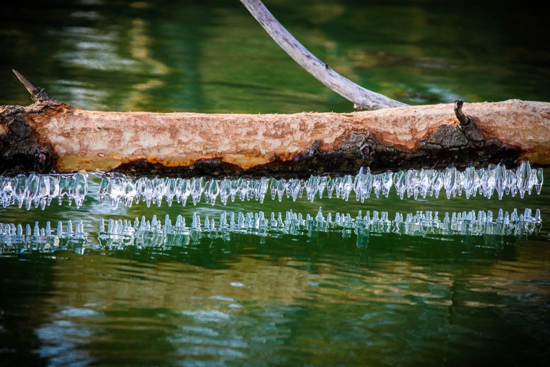 lac_gele_H004