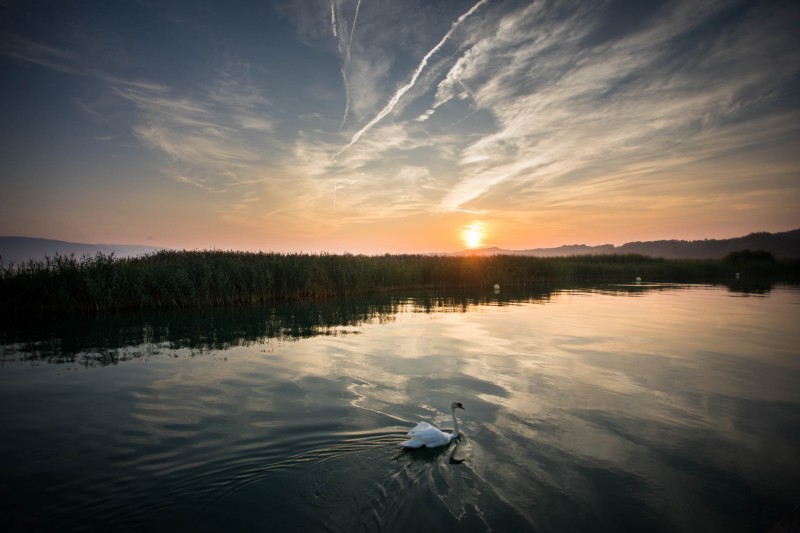 lac_neuchatel_H-4