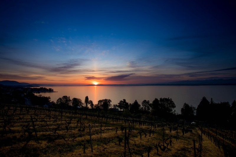 lac_neuchatel_H005