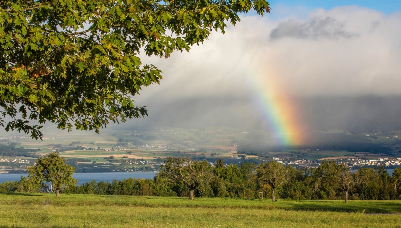 lac_neuchatel_H011