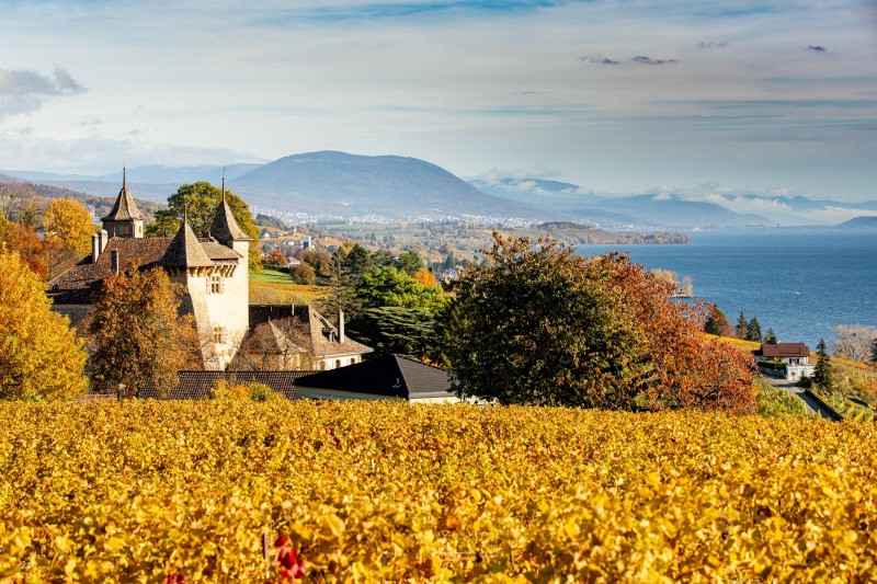 paysage_champetre_H003