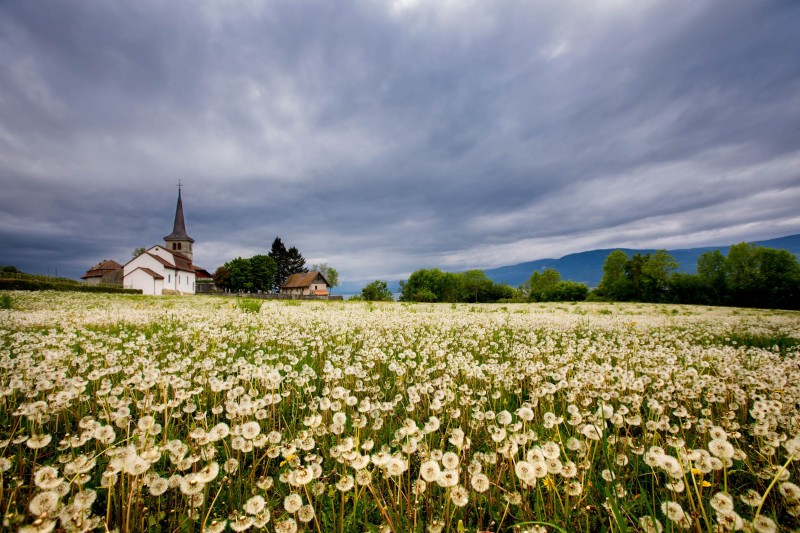 paysage_champetre_H004