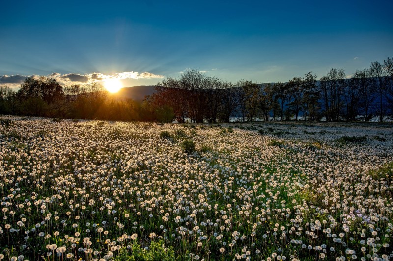 paysage_champetre_H006