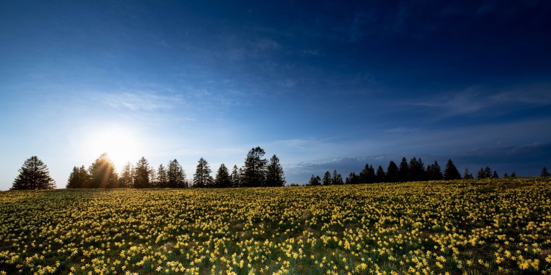 paysage_champetre_H008
