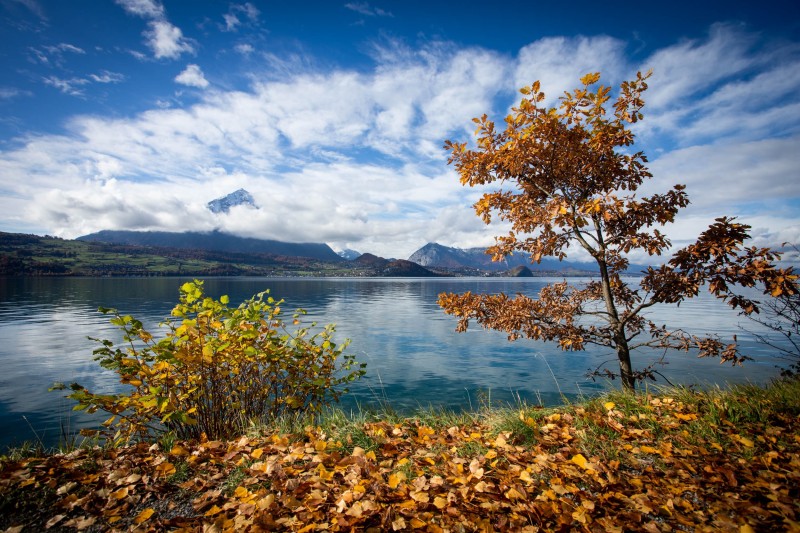 paysage_champetre_H021