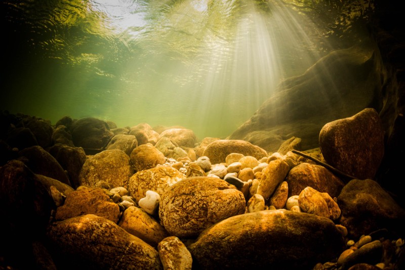 Paysage_sous-marin_H019