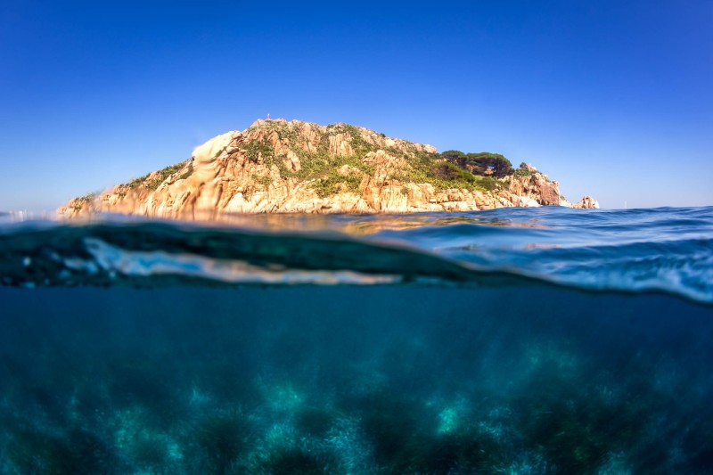 Paysage_sous-marin_H053